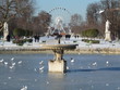 Jardin des Tuileries en hiver