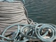 CUERDAS EN EL MUELLE
