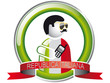 Republica italiana