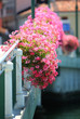 Fiori sulla ringhiera