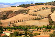 Zypressen,Kurve,Hügellandschaft,Toskana,Val d Orcia,La Foce