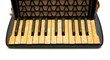 Keyboard of vintage 1930s black accordion closeup isolated