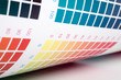 color swatch