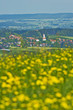 Foto: Wiggensbach Wiggensbach