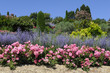 jardin provençal jardin provençal