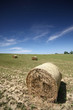 Straw bales