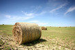 hay bale