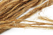 hemp background