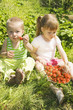 Photo: Child eating strawberries. Child eating strawberries.