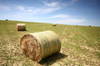Straw bales