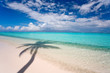 tropical remote beach with shadow of plam tree