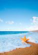 starfish in the sand with water rushing by