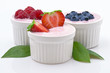 Yogurt and Fruit