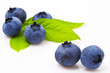 Blueberry