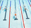 Three swimmers racing in a pool