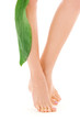 female legs with green leaf