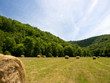 Landscape with haystacks Landscape with haystacks
