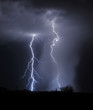 Tucson Lightning
