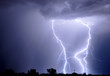 Tucson Lightning