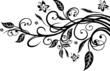 Blätter, Laub, Herbst, filigrane Ranke mit Blumen