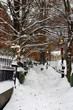 Boston Winter..
