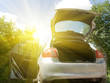 The car on the nature