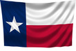 Texas Flag