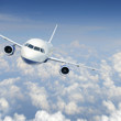 Airplane in the sky