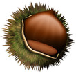 Castagna-Chestnut-Châtaigne