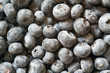 Heidelbeeren