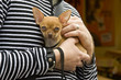 Hund und partner