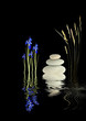 Zen Garden Fantasy