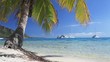 Tropical beach with amazing water and palm tree Tropical beach with amazing water and palm tree