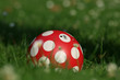 Ball