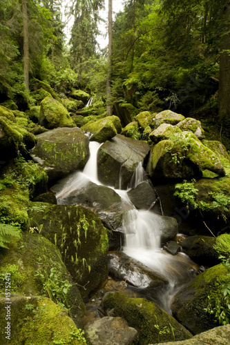 Foto: Wasserfall - Triberg - Schwarzwald Wasserfall - Triberg - Schwarzwald