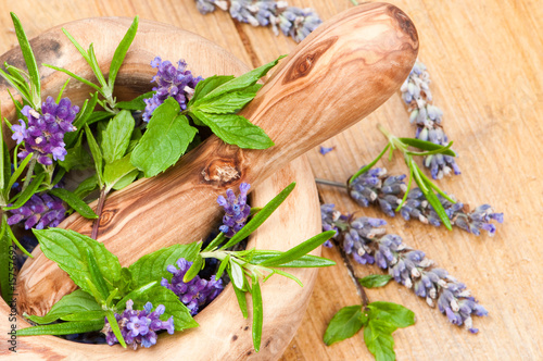 Herbs & Lavender Herbs & Lavender