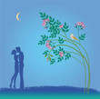 Nightly walk of falling in love