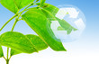 ecology concept
