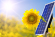 Solar panels in a yellow field Solar panels in a yellow field