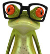 Grenouille avec des lunettes Grenouille avec des lunettes