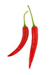 red hot chili peppers on white with clipping path