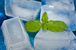 Foto: Ghiaccio E Menta - Macro Ghiaccio E Menta - Macro