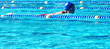 freischwimmer