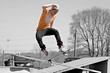 Skateboard Ramp
