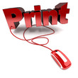 print web print web