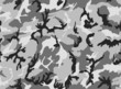 Vektor: Camouflage I Camouflage I