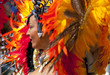 Danseuse de carnaval brésilien, Brazil.