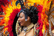 Danseuse de carnaval brésilien, Brazil.