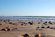 les landes