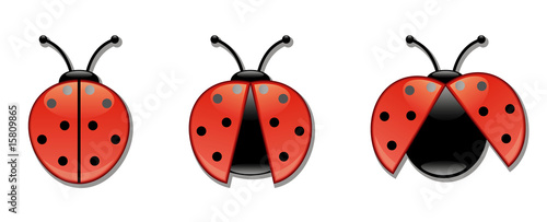 Vector: lady bugs icons lady bugs icons